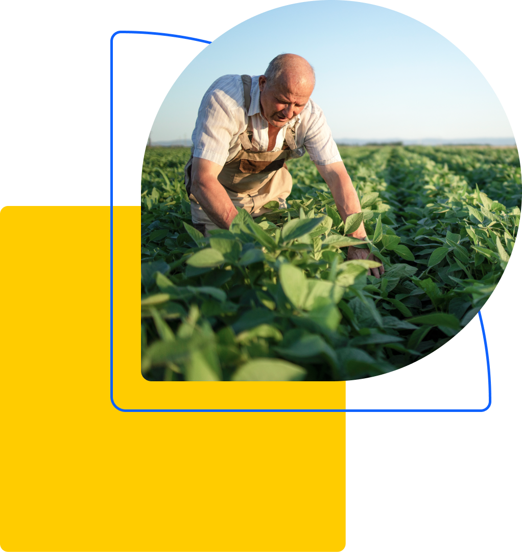 Image of a farmer tending to lush green crops in a field layered over yellow and blue shapes in the background